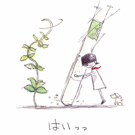 �z���̂����